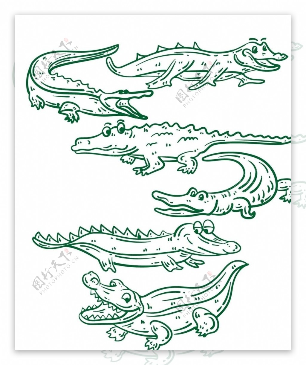线描鳄鱼装饰图案