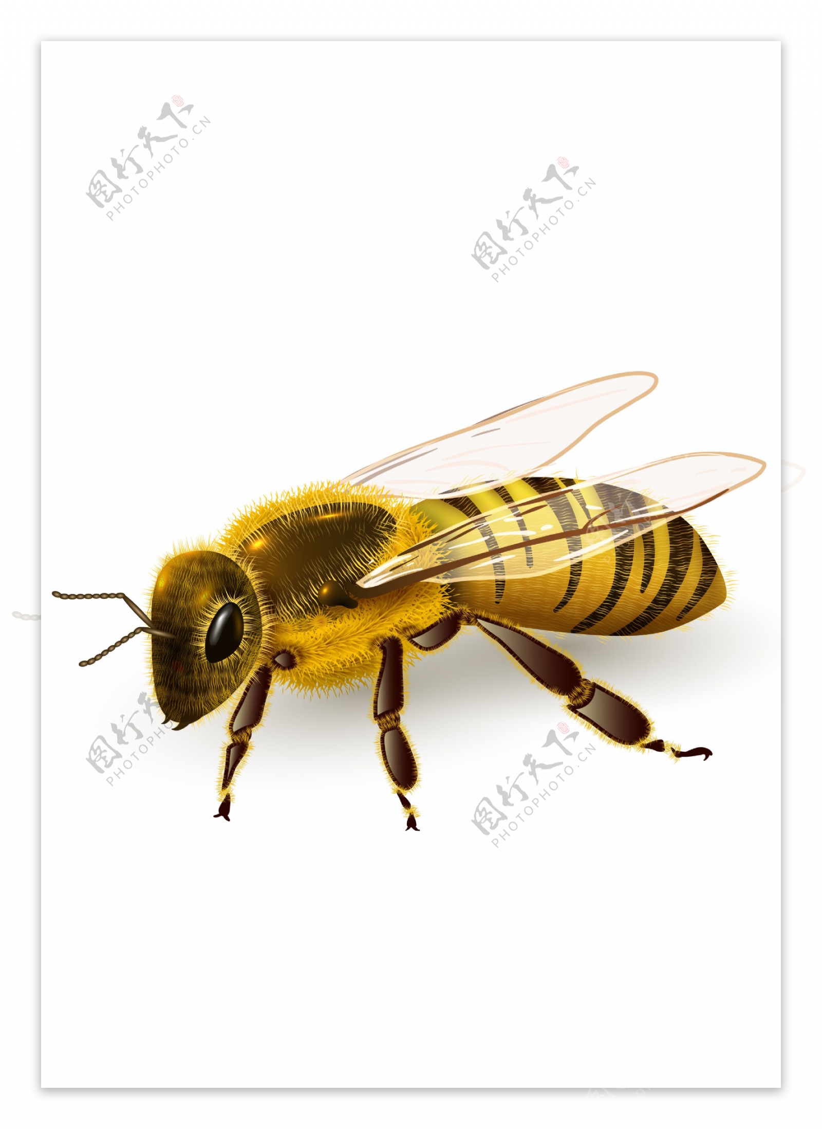 蜂蜜动物图标图形标志素材