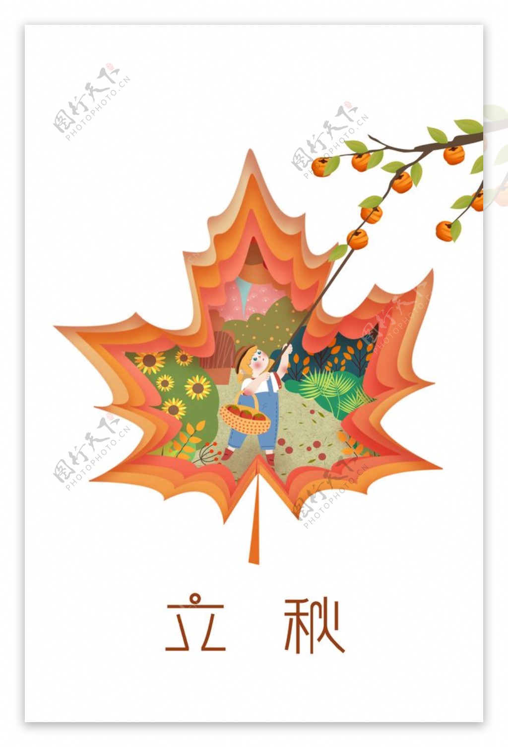 秋天立秋手绘人物树枝柿子图片