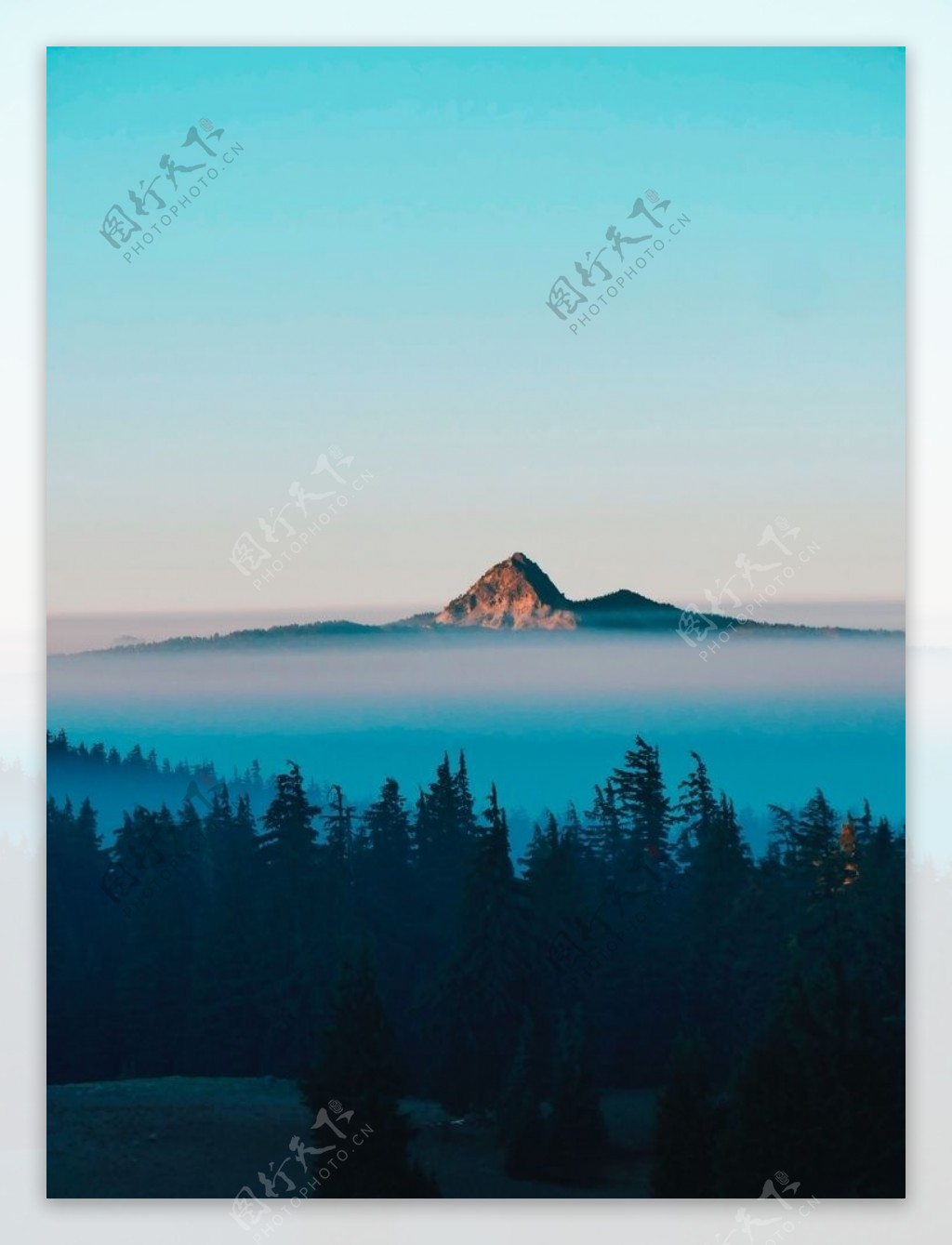 森林山峰云海云雾背景素材图片