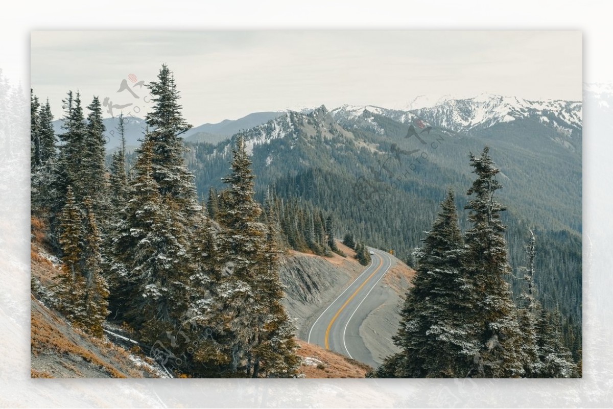 森林公路雪山树木素材图片