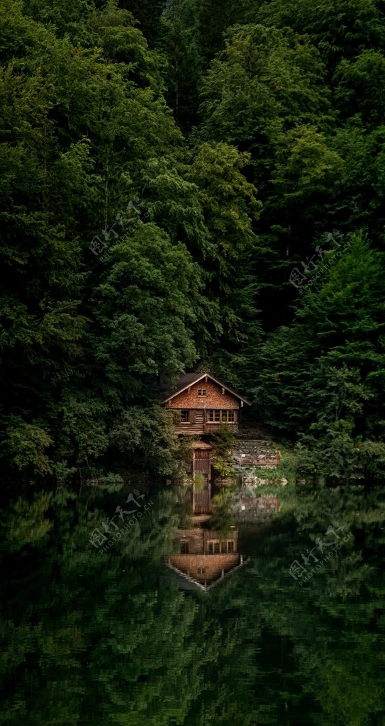丛林里的小木屋图片