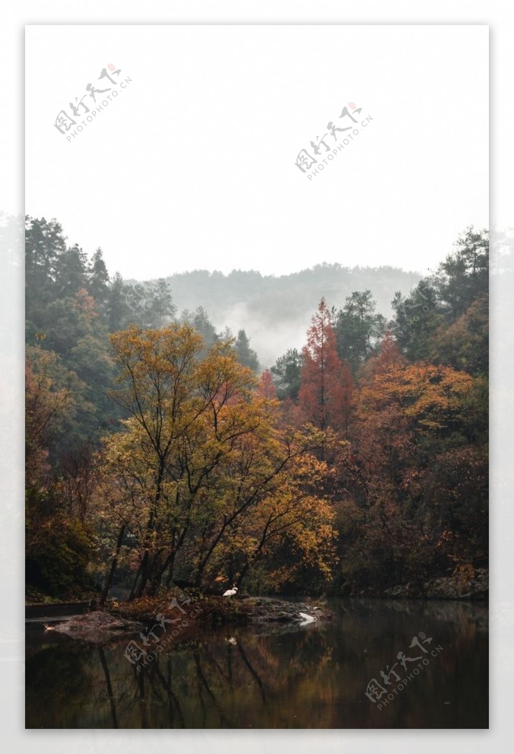 秋天景色图片