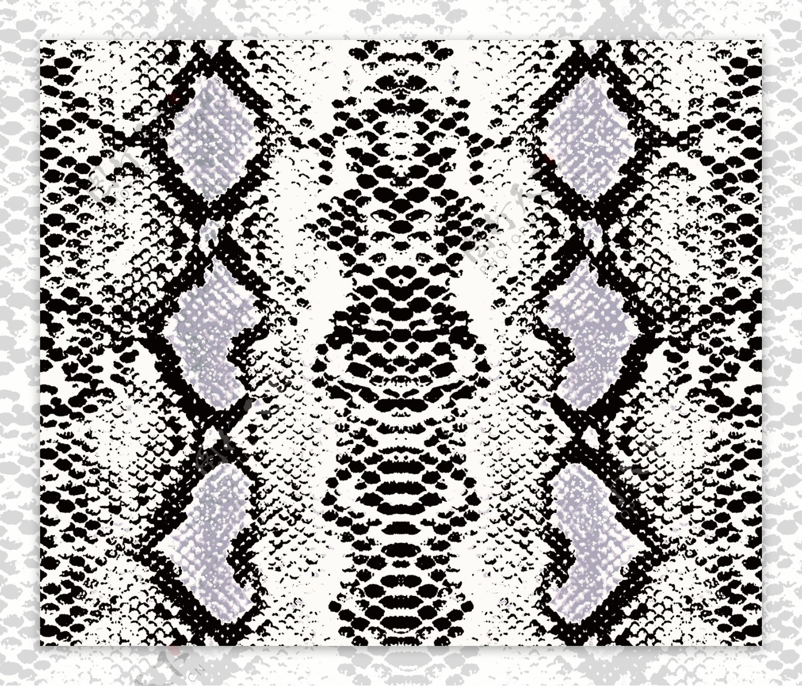 蛇皮豹纹印花图片
