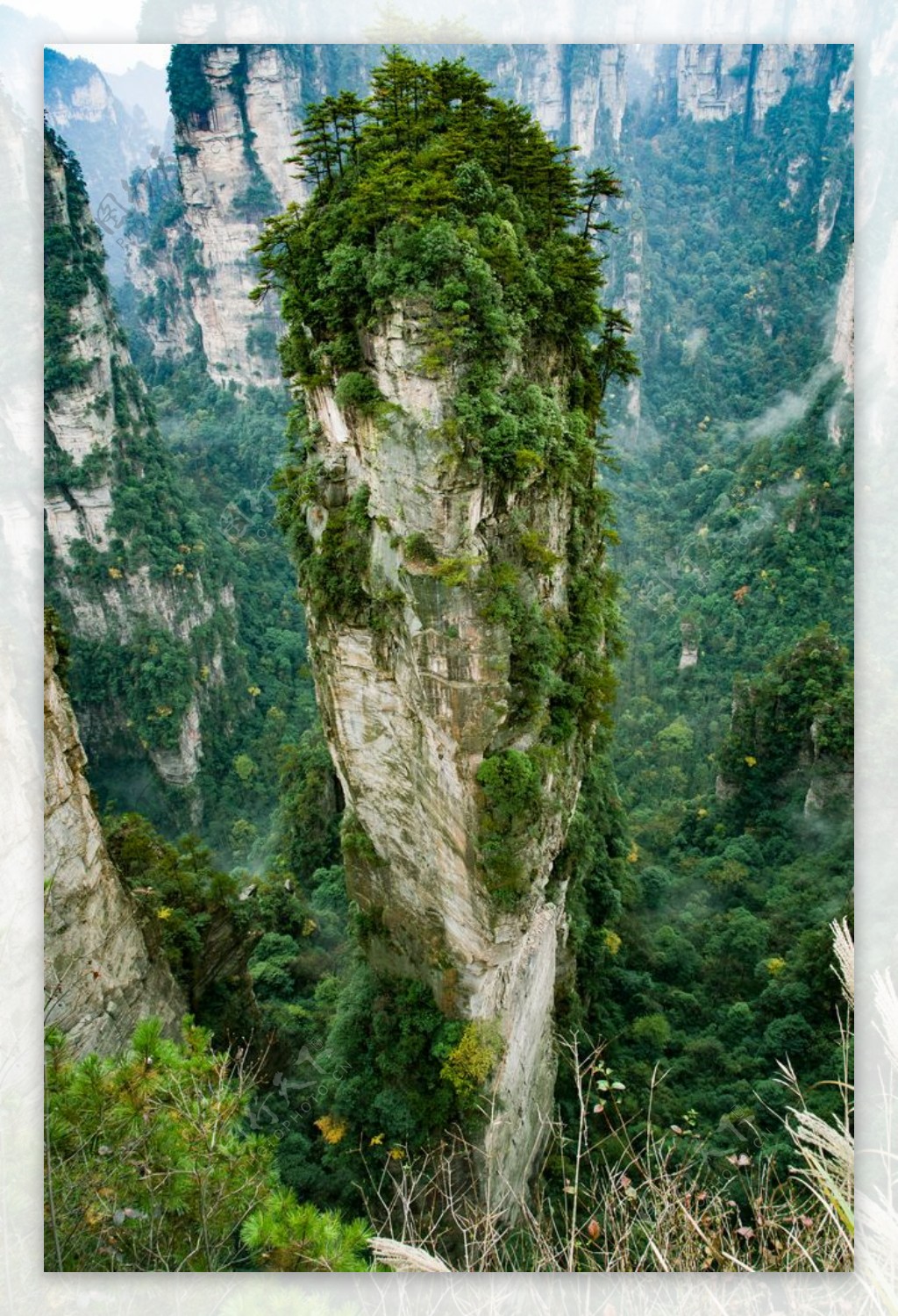 张家界国家森林公园图片