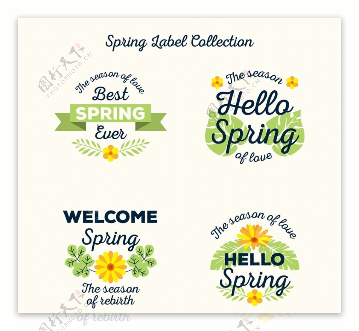 春季黄色花卉标签图片