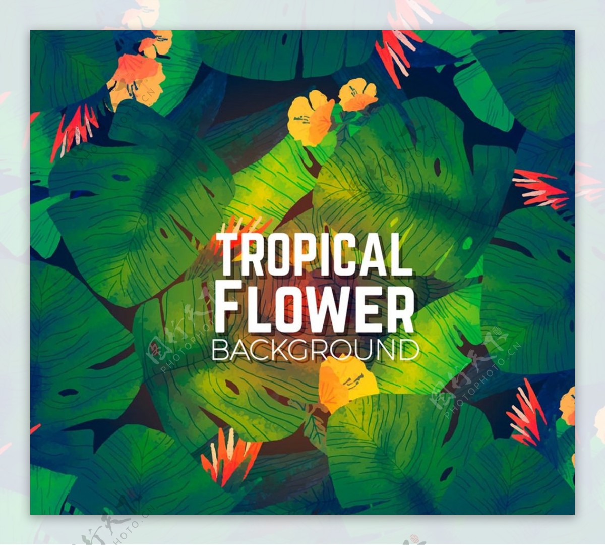 彩绘热带花卉背景图片