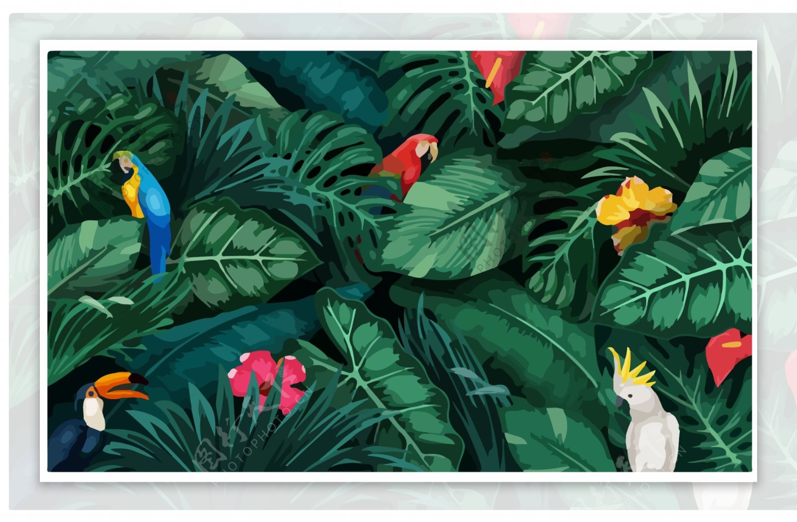热带动物植物背景底纹图片