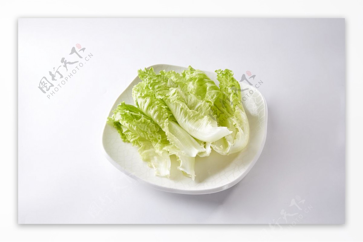 白菜娃娃菜蔬菜食材海报素材图片