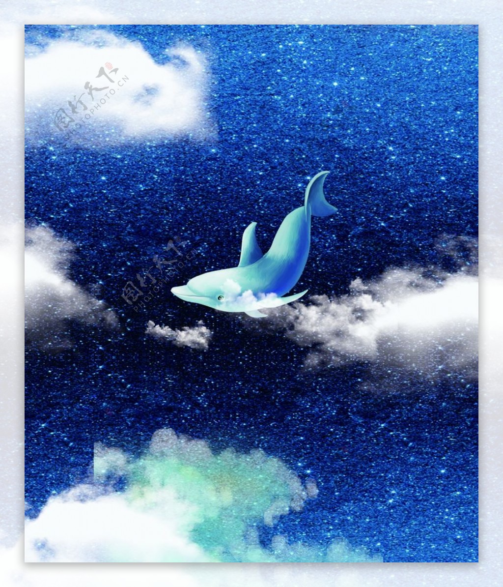 海豚彩绘图片