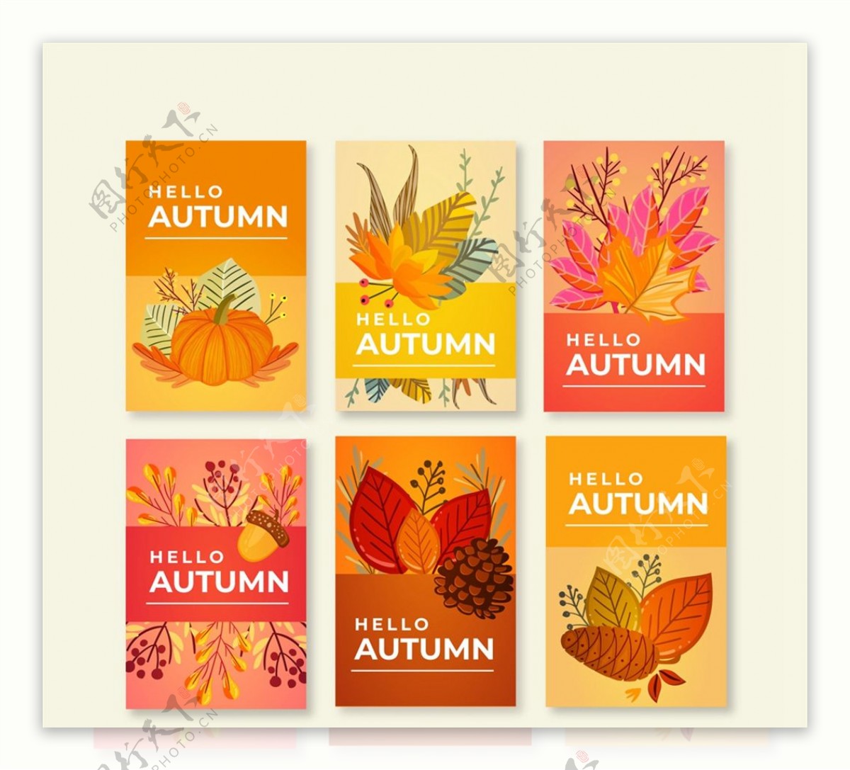 彩色秋季元素卡片图片