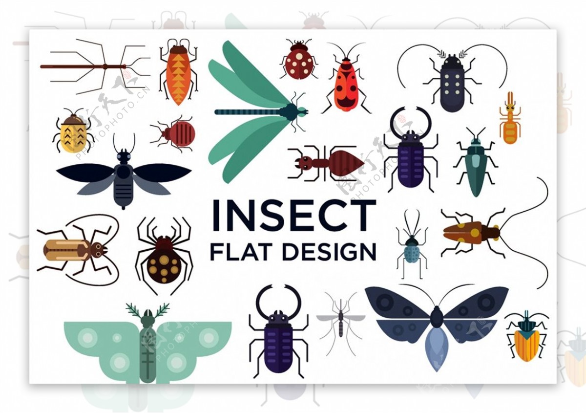 创意昆虫设计图片
