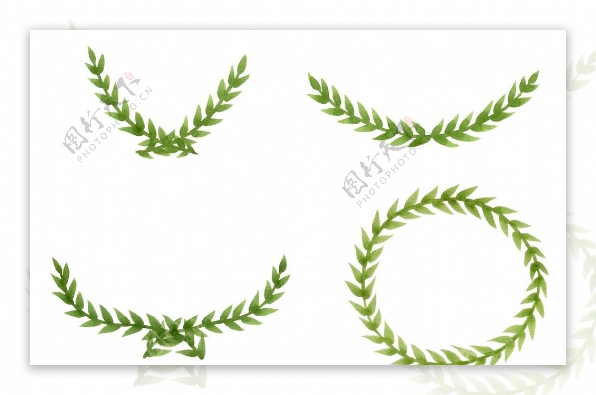 水彩橄榄枝框架花环png素材图片