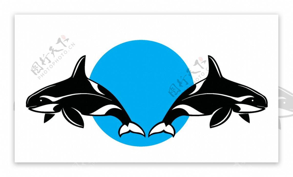 逆戟鲸标志图片