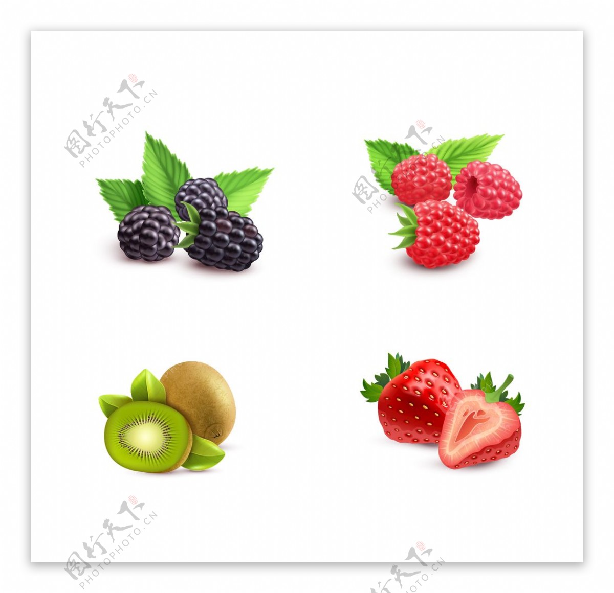矢量水果猕猴桃草莓图片