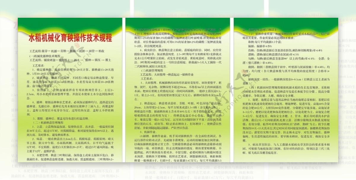 水稻机械化育秧操作技术规程图片