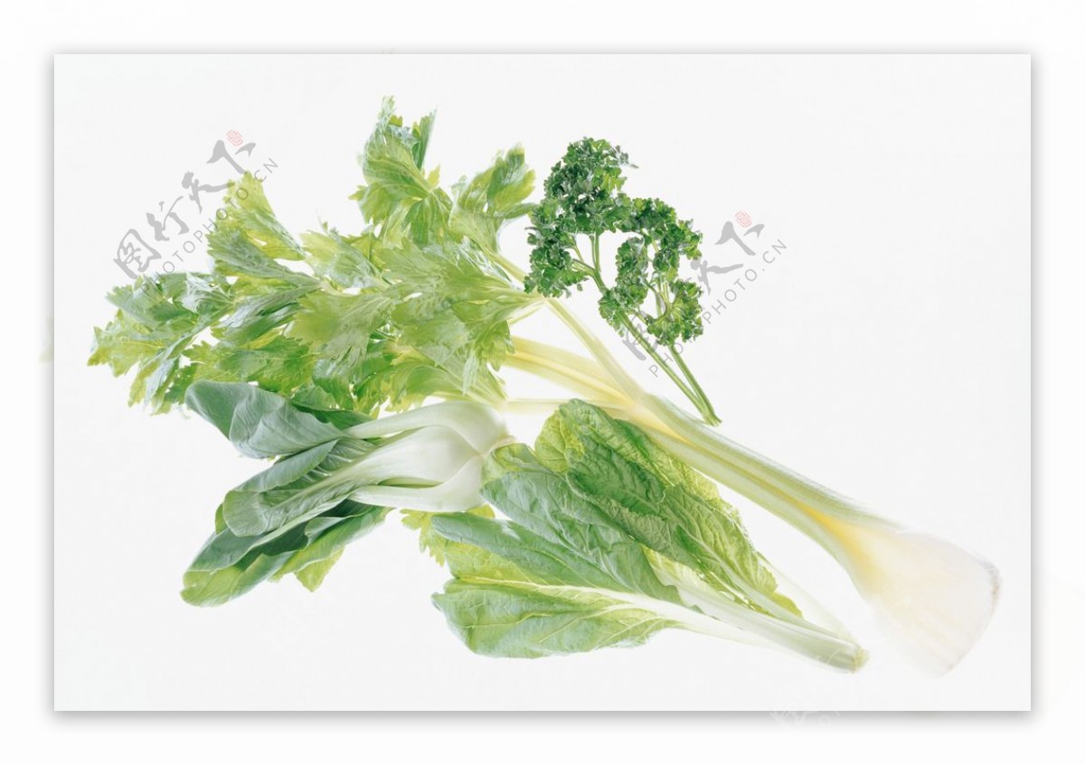 The Celery Images, HD Pictures For Free Vectors Download - Lovepik.com