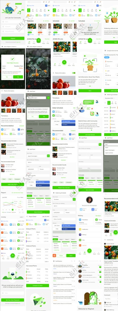 xd种植果蔬绿色UI设计登录页图片