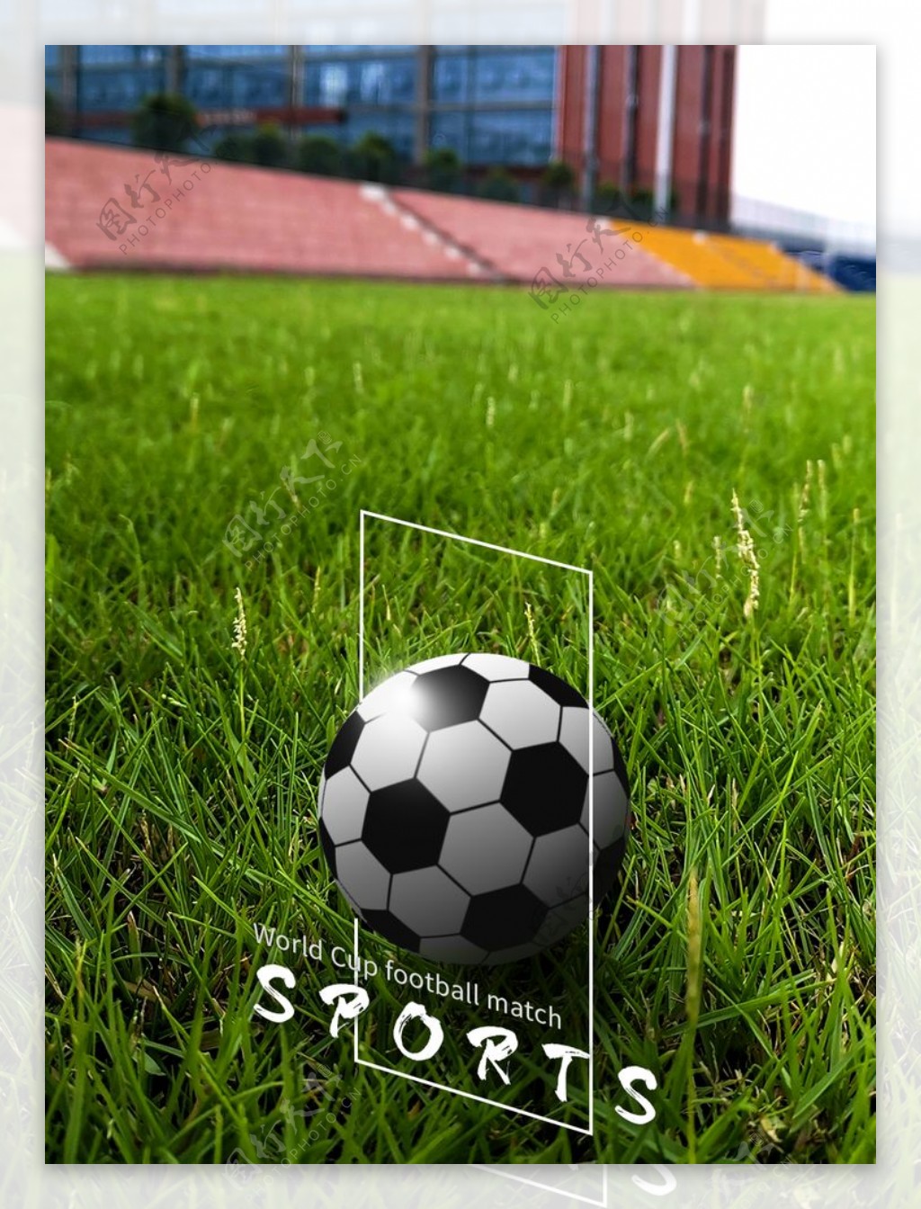 青草地上的足球图片