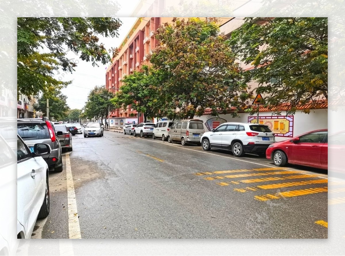 雨天的城市街道图片