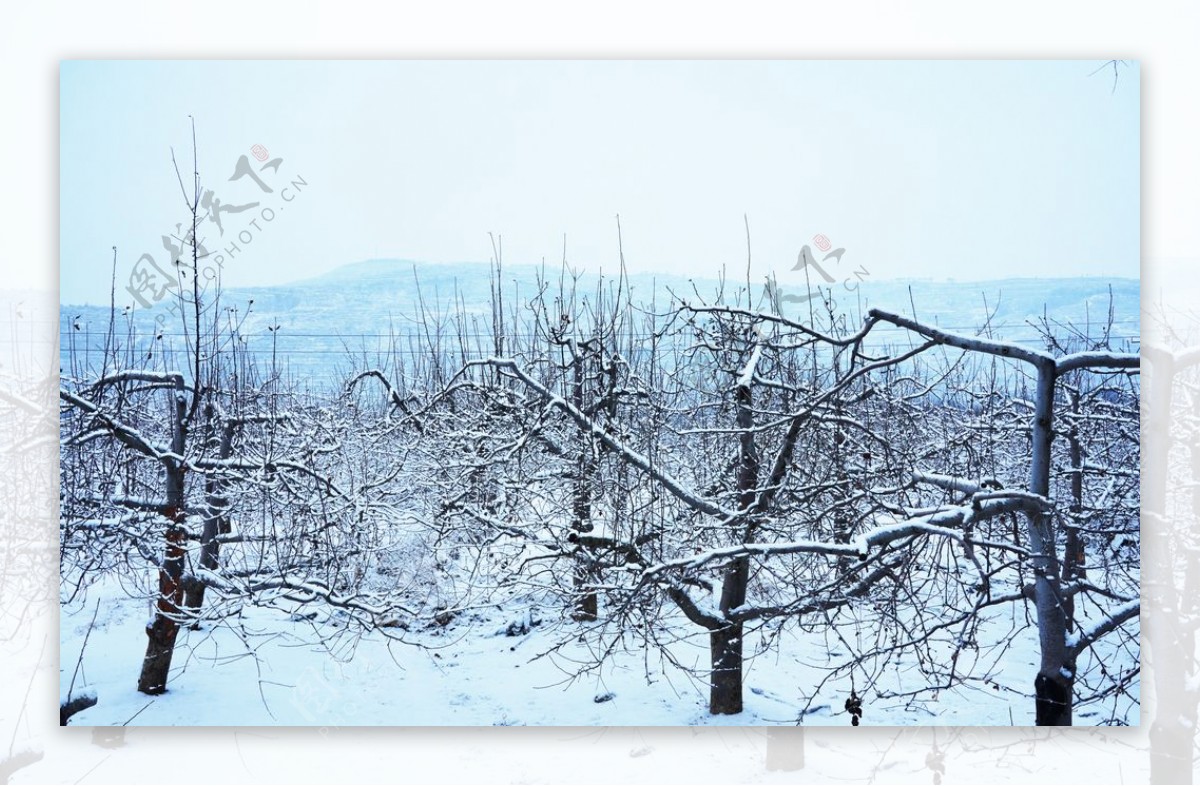 雪景图片