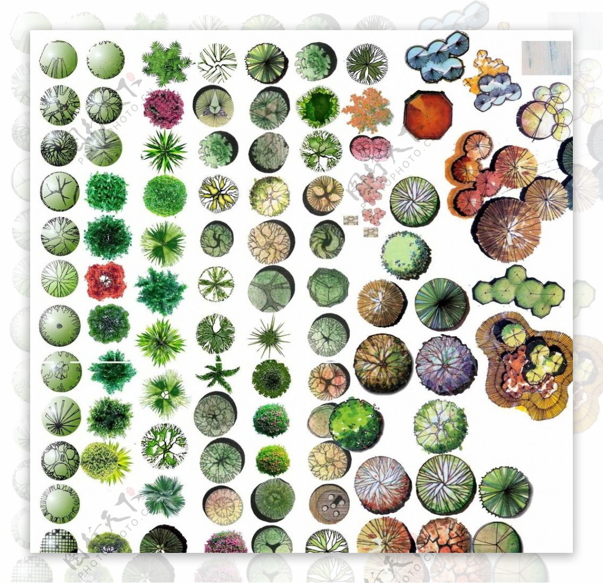 ps平面植物素材图片