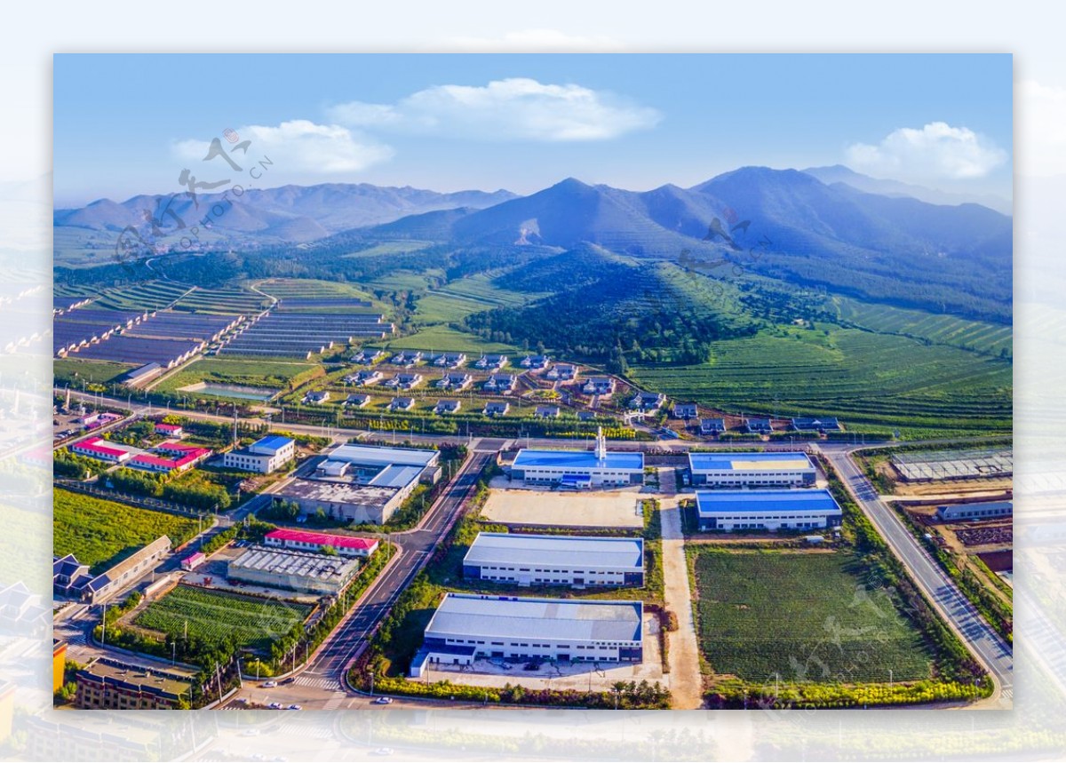 青龙山甘薯产业园图片