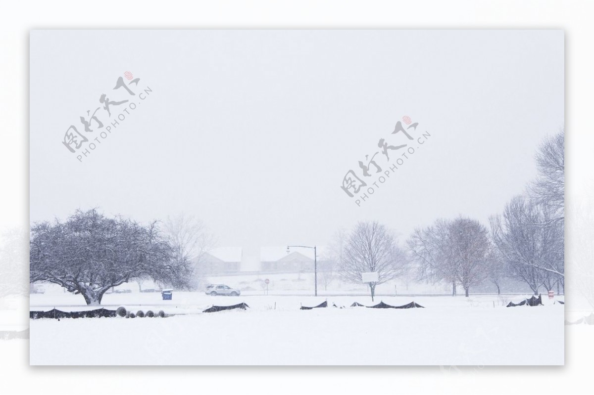 大雪后白色的冬天图片