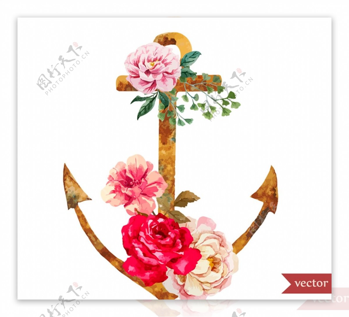水彩玫瑰和船锚图片