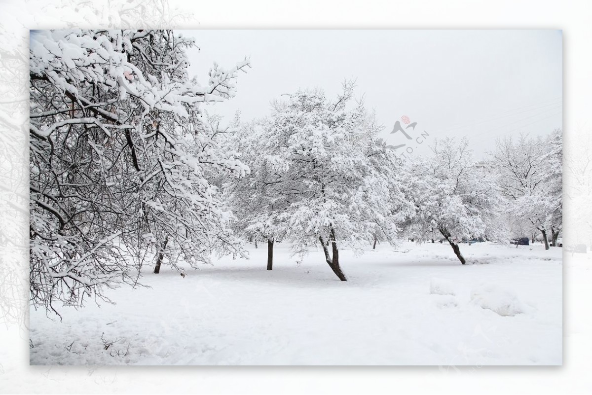 冰雪图片