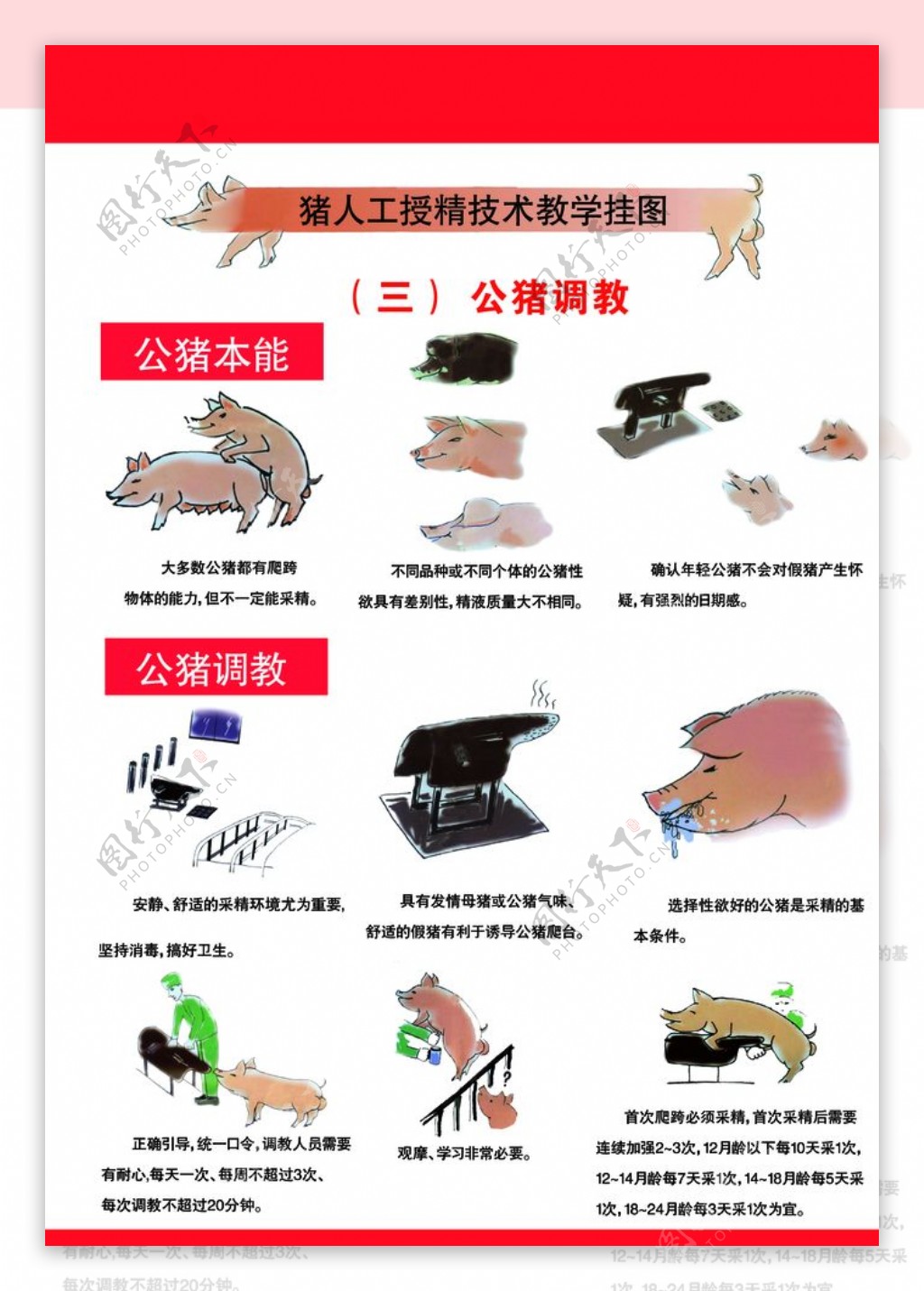 猪场管理图图片