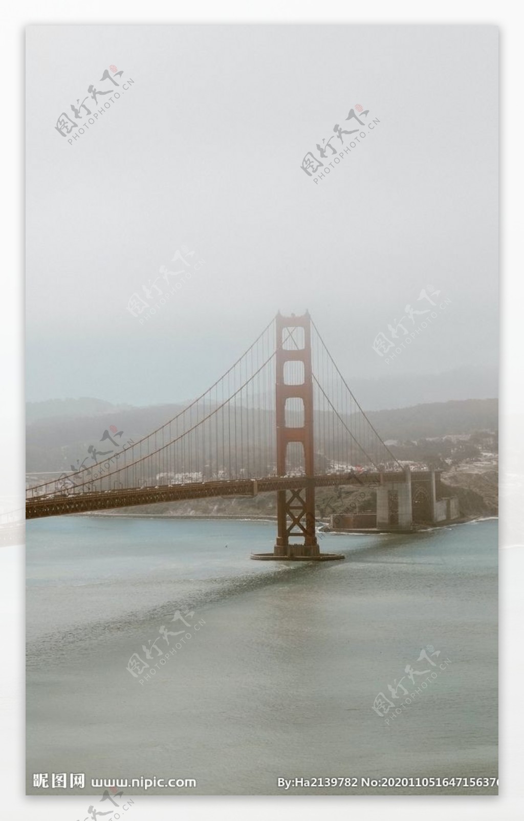 雾中桥图片