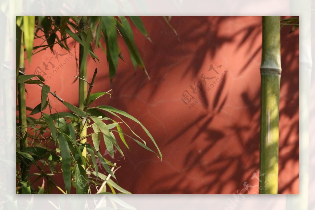 竹子红墙大图图片