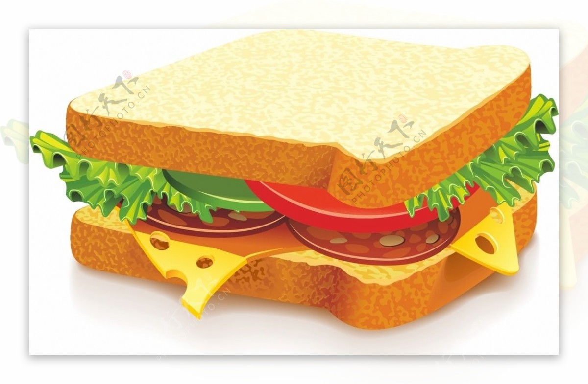 三明治矢量图片