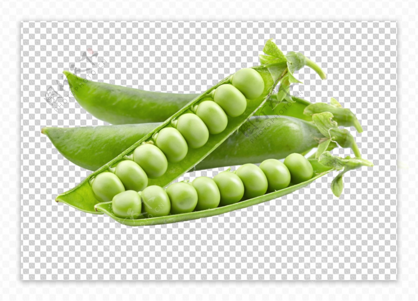 豌豆绿豆图片