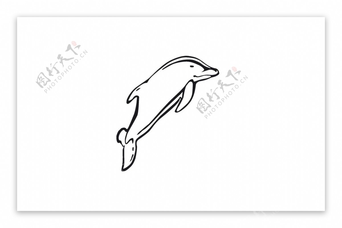矢量小海豚图片