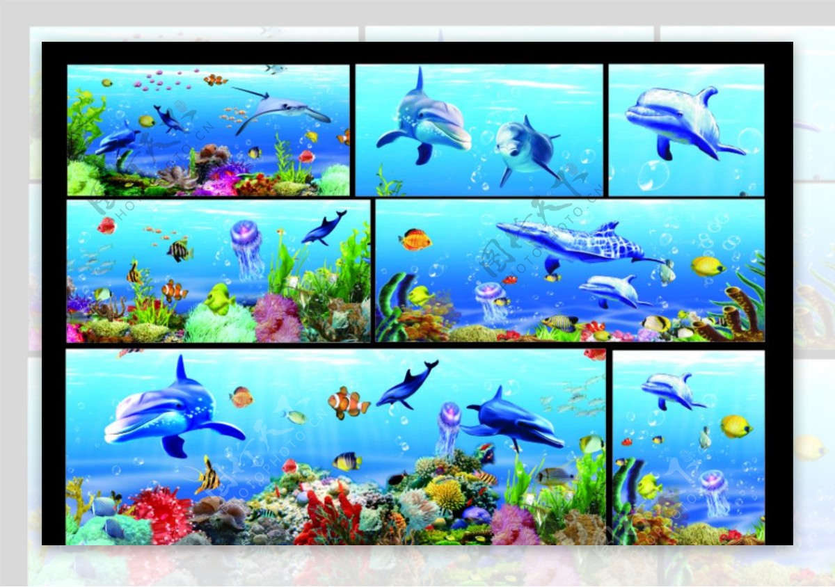 海底世界海豚珊瑚图片