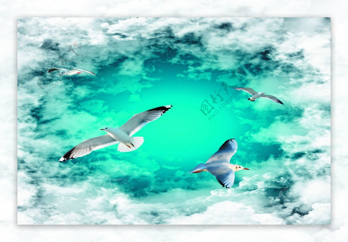天空白云中飞翔的海鸥装饰画图片