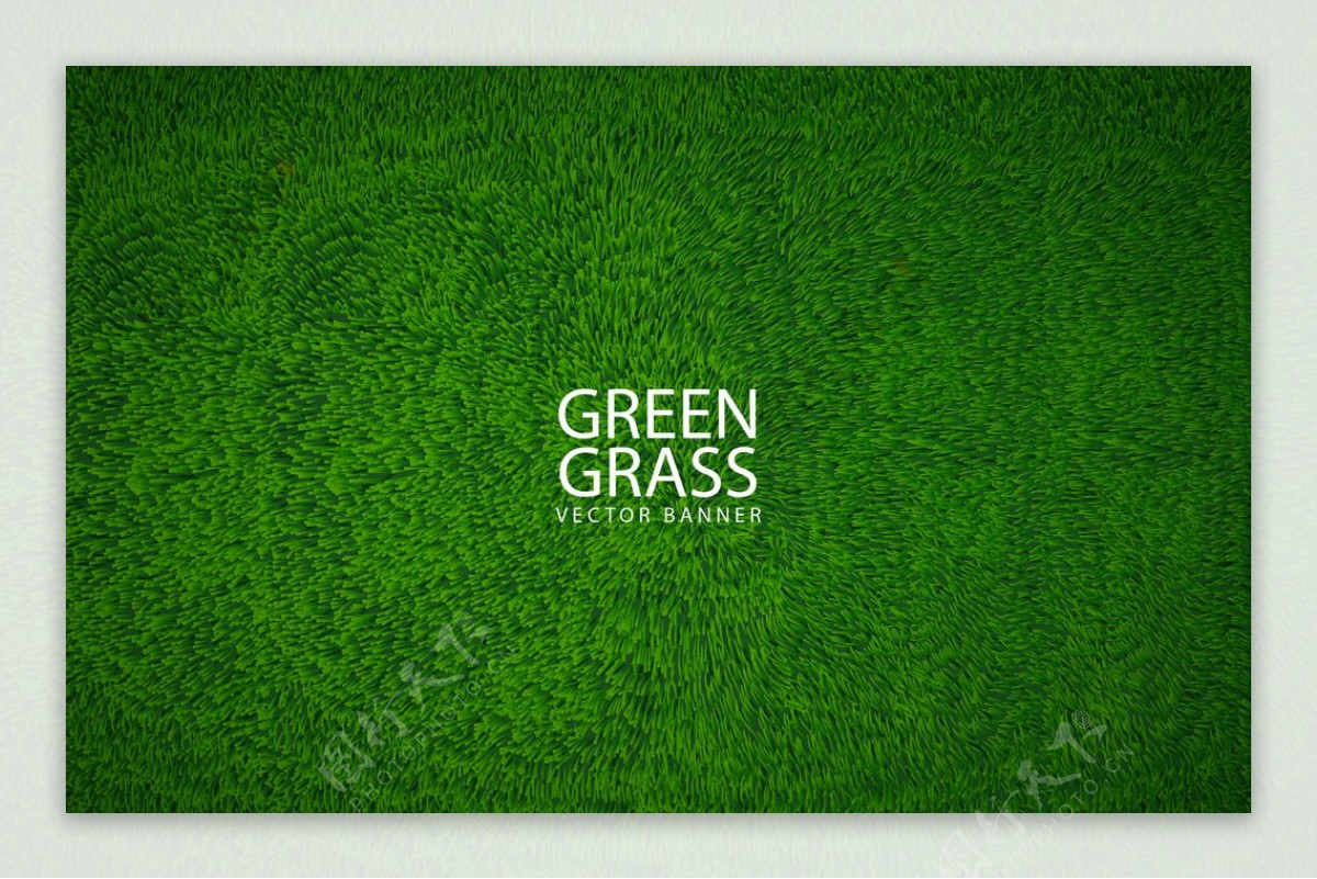 青草绿色背景图片