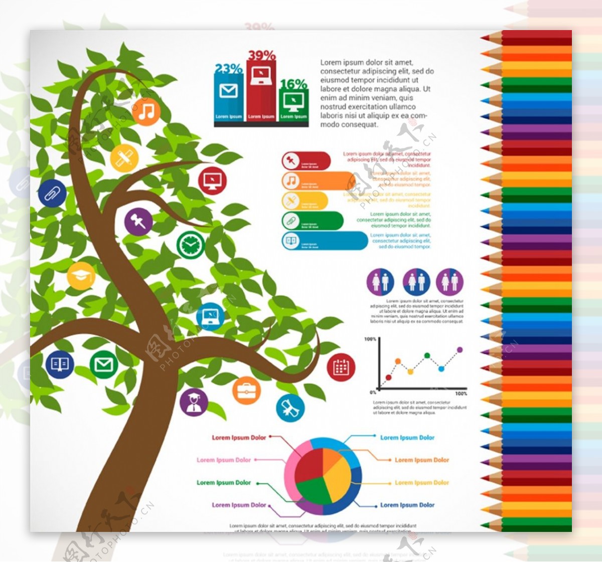 绿树教育信息图图片