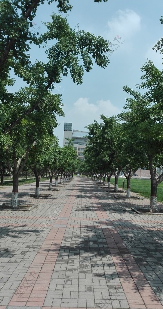 郑州大学校园内景图片