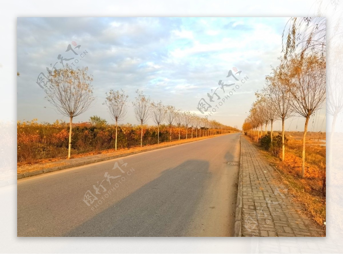 深秋时节的道路风景图片