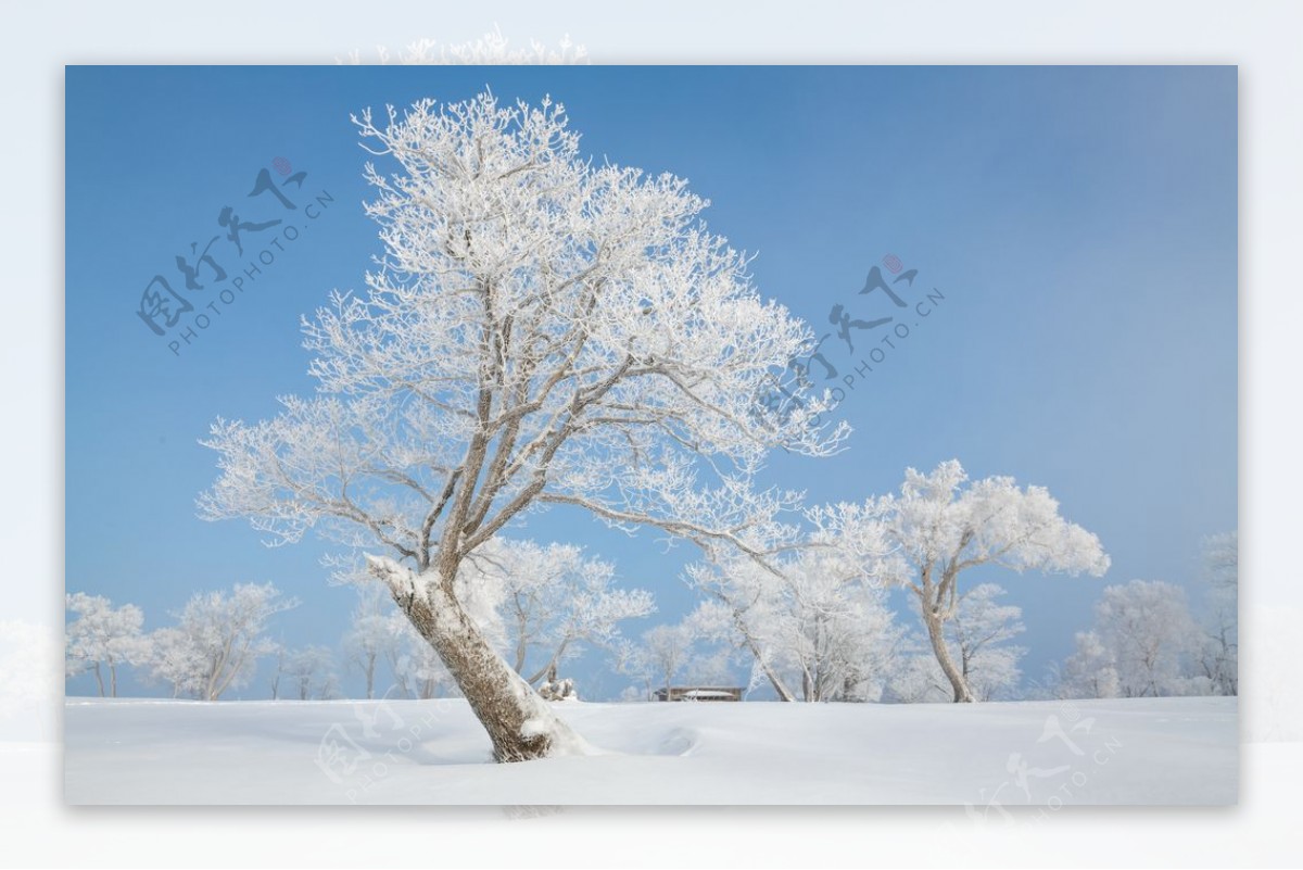 雪图片