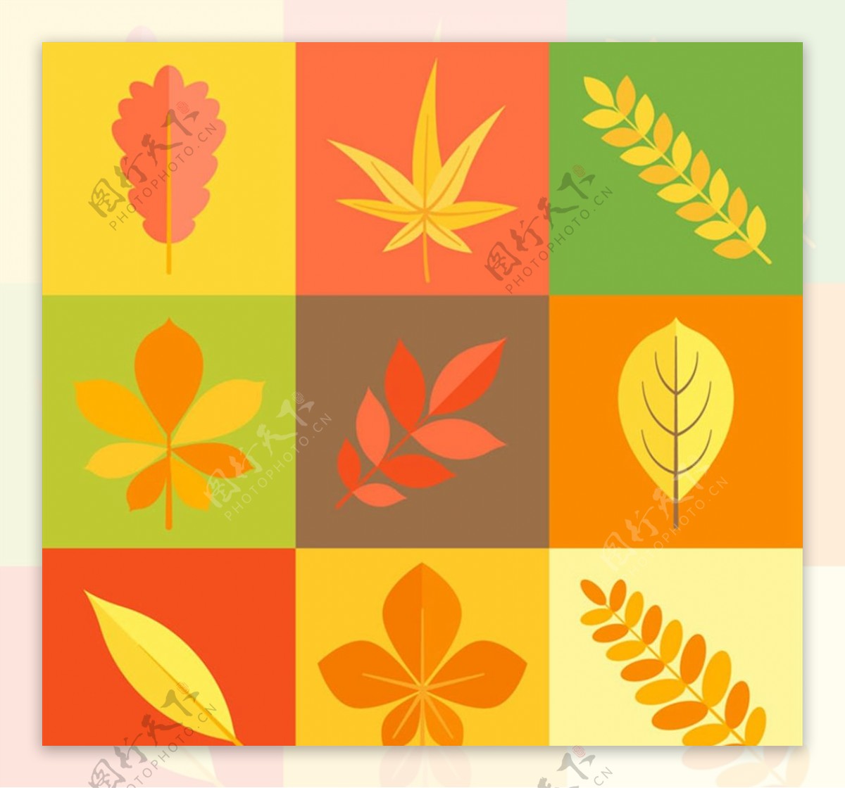 秋季叶子矢量图片