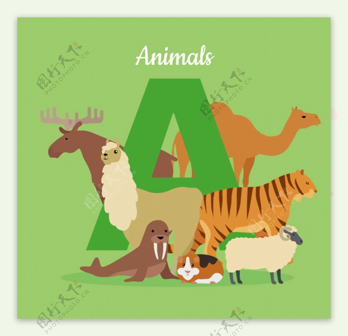 小动物和字母图片