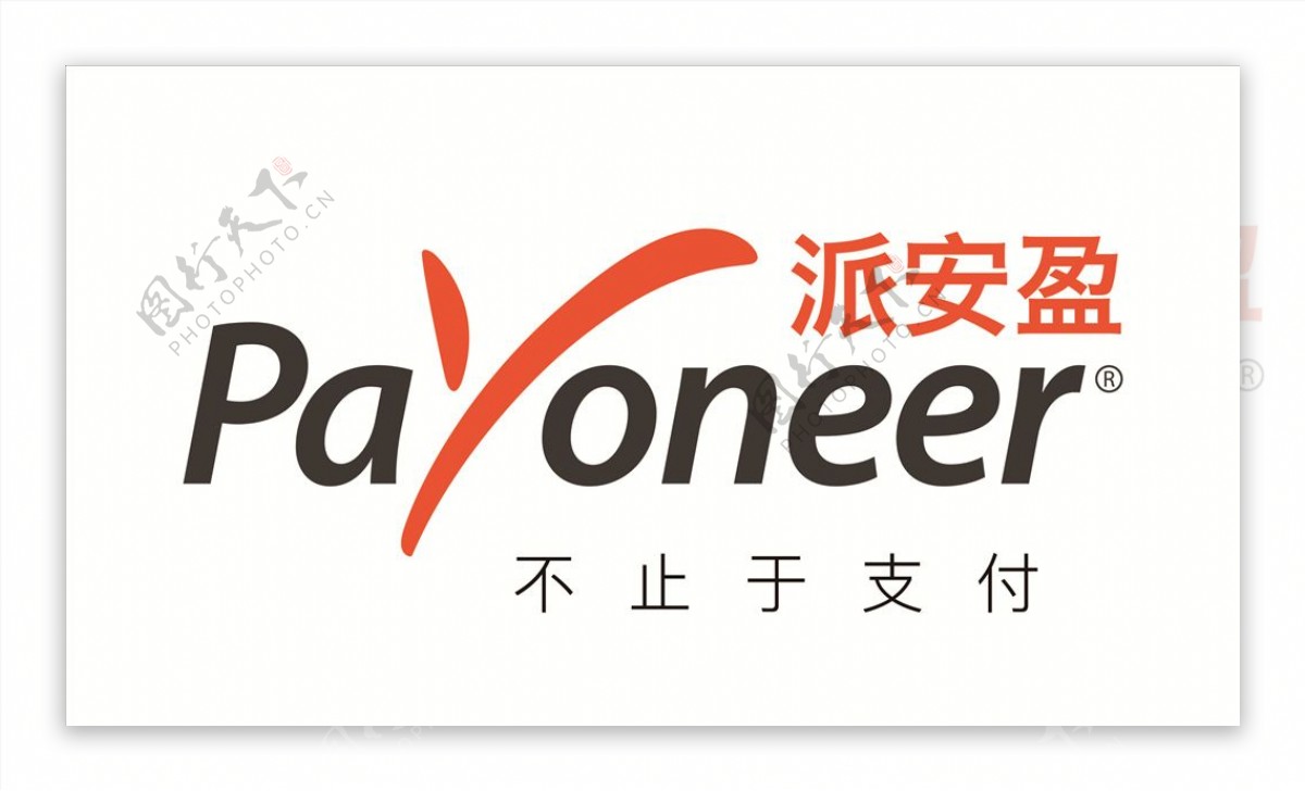 派安盈payoneer图片