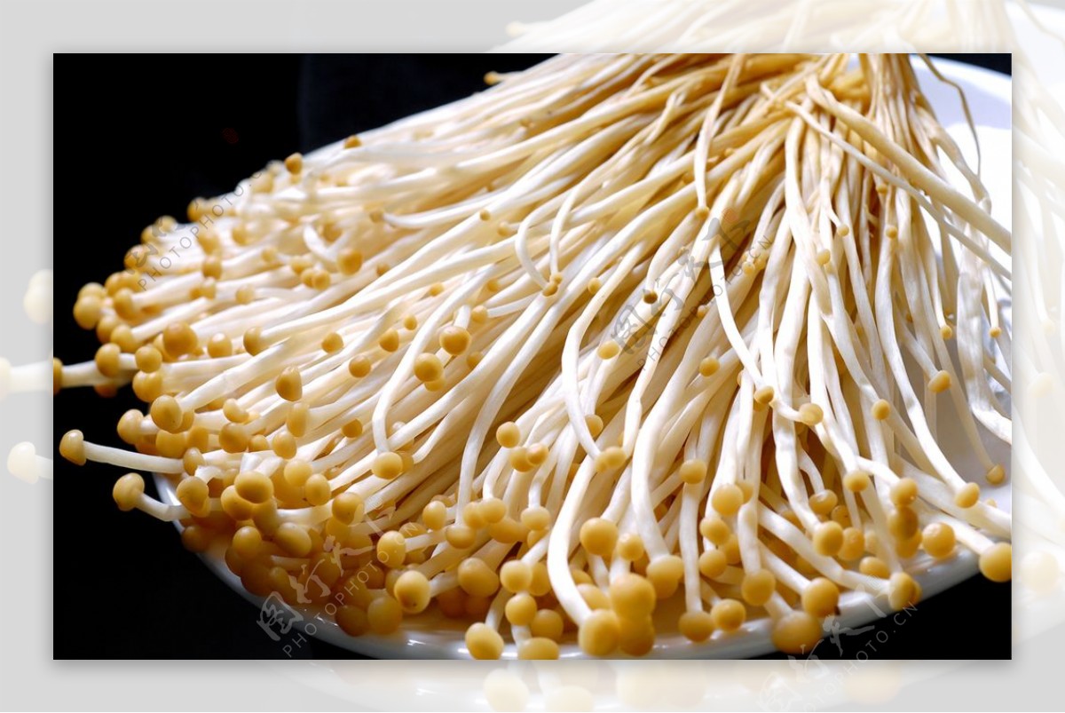 汤锅类金针菇图片