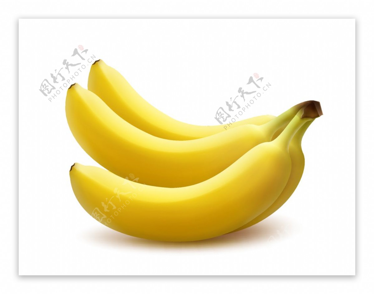 逼真的香蕉图片