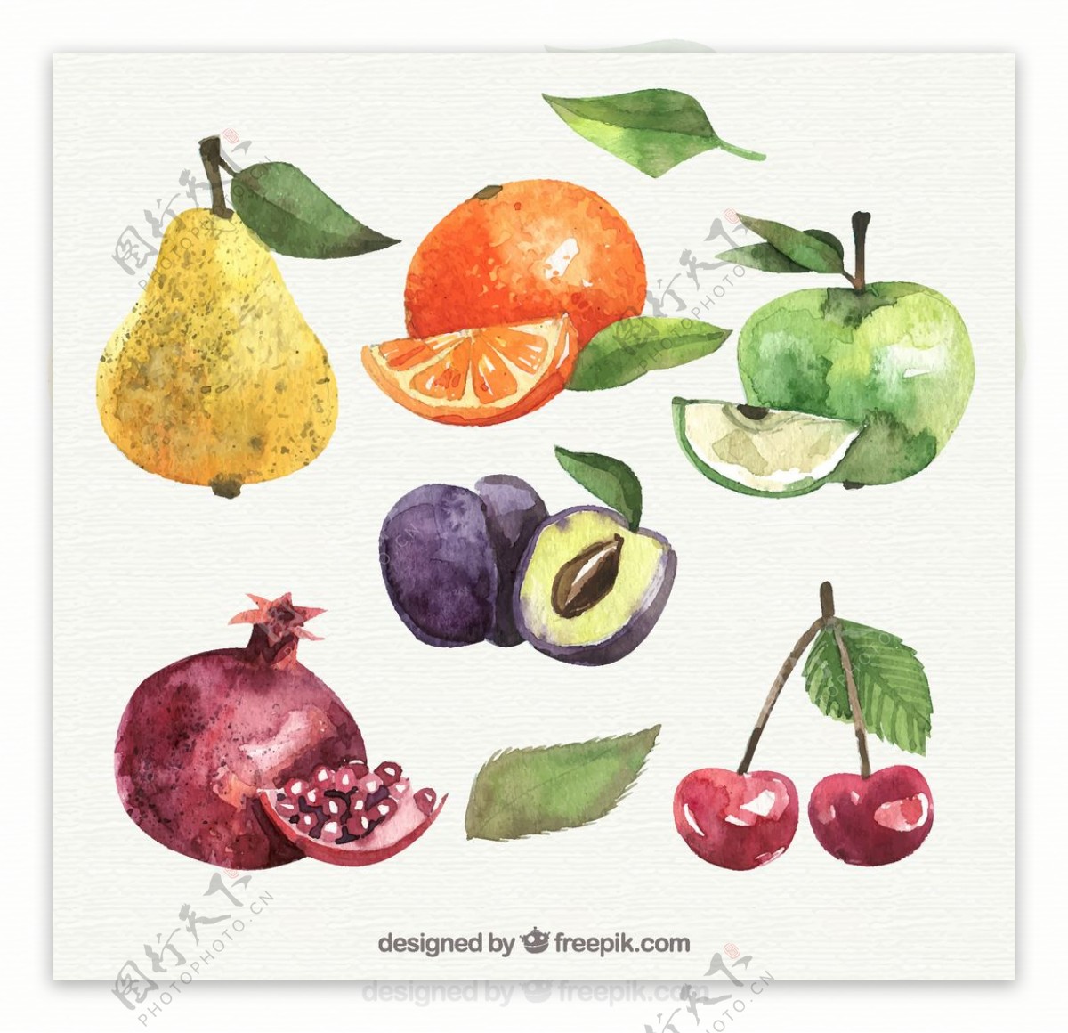 水彩绘水果图片
