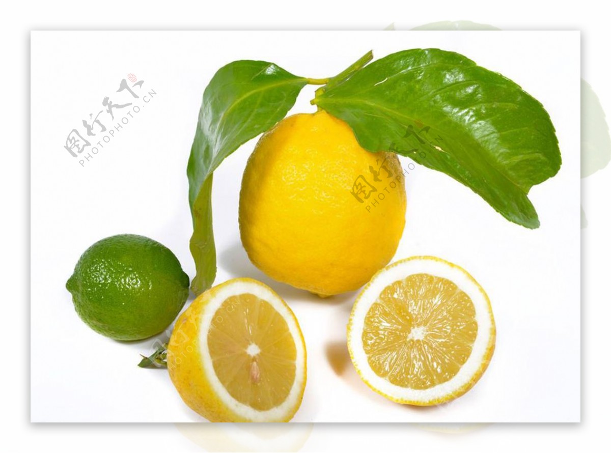 柠檬种植条件和区域 - 花百科